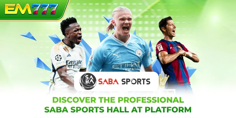 Discover the professional SABA sports hall at platform