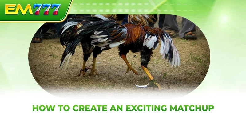 How to create an exciting matchup