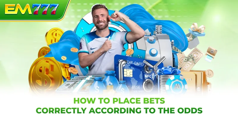 How to place bets correctly according to the odds