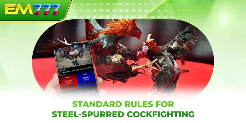 Standard rules for steel-spurred cockfighting